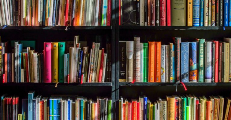 Education - Books in Black Wooden Book Shelf